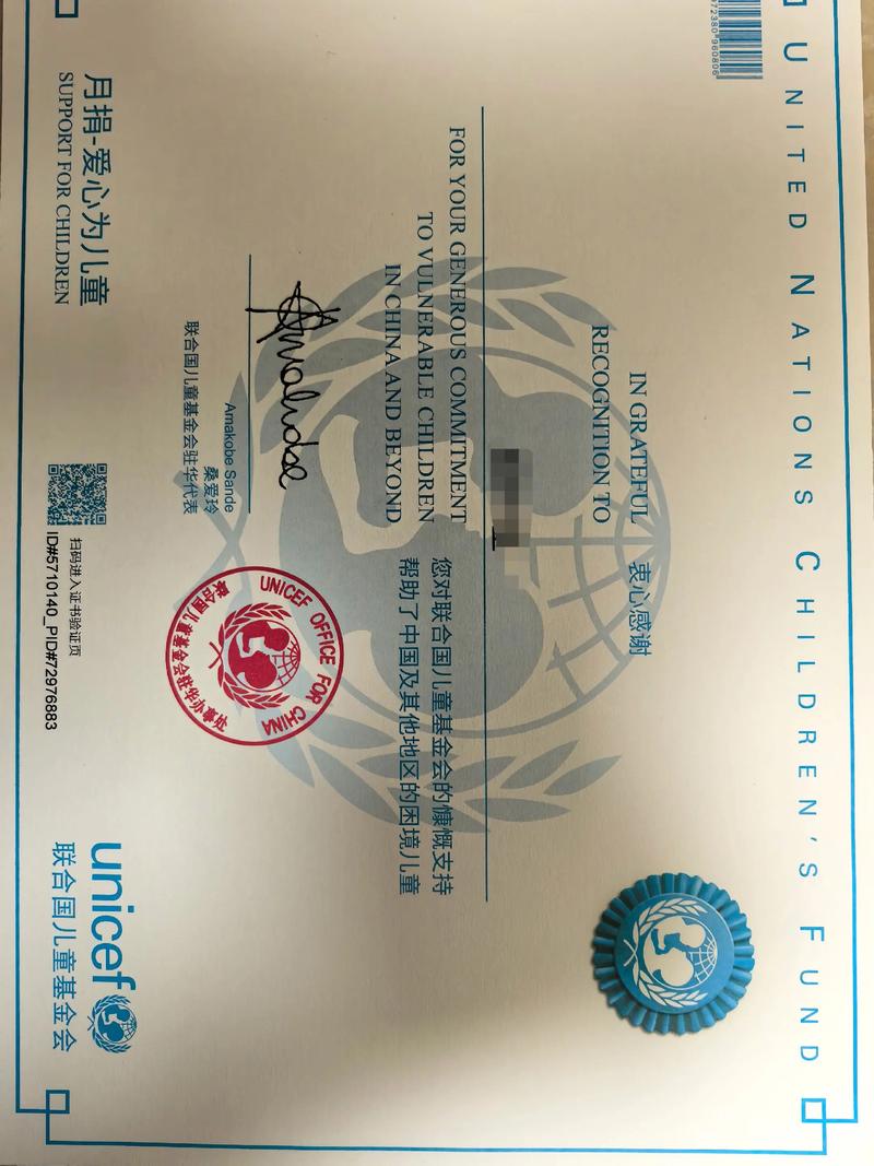 联合国儿童基金会发票是什么用途?-第2张图片-华宇铭诚 联合国儿童基金会发票是什么用途?-第2张图片-华宇铭诚