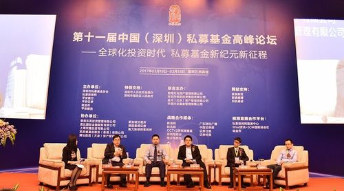 上海双隆投资有限公司是正规平台吗？-第1张图片-华宇铭诚