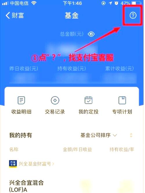 蚂蚁配售基金值得入手吗？-第1张图片-华宇铭诚