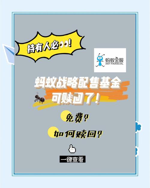 蚂蚁配售基金值得入手吗？-第3张图片-华宇铭诚