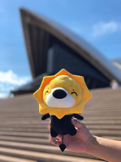 狮子国际期货正规吗?安全吗?可信吗?-第3张图片-华宇铭诚 狮子国际期货正规吗?安全吗?可信吗?-第3张图片-华宇铭诚