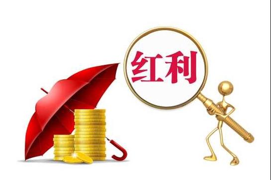 红利再投资具体指什么？-第1张图片-华宇铭诚