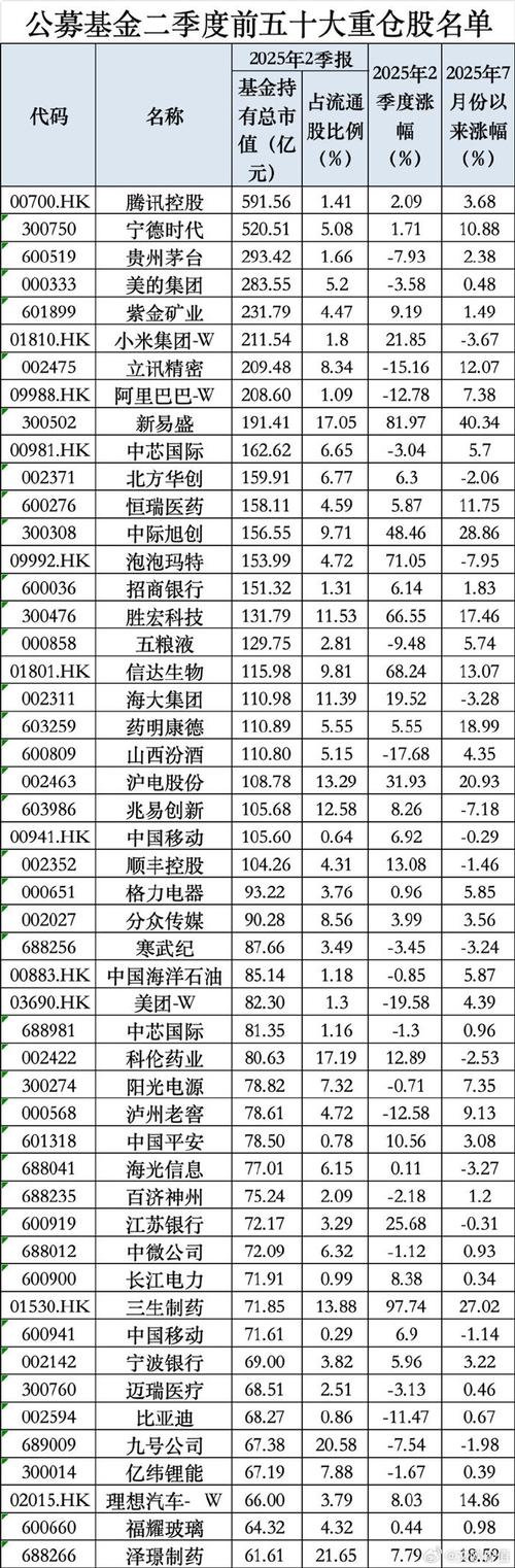 最多基金持股的股票是哪只？-第3张图片-华宇铭诚