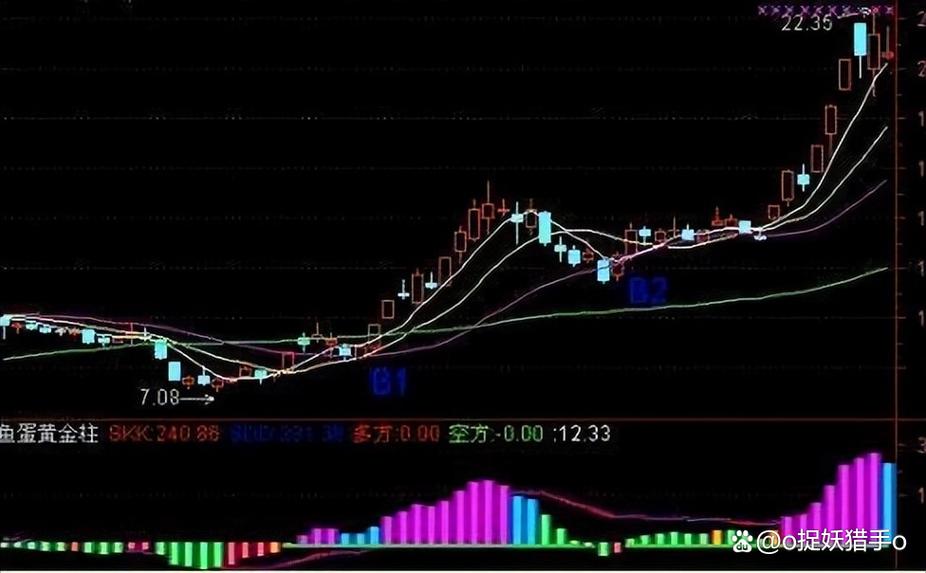5大基金持仓蚂蚁集团股票了吗？-第2张图片-华宇铭诚