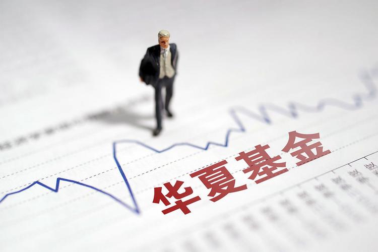 华夏成长证券投资基金表现如何？-第3张图片-华宇铭诚