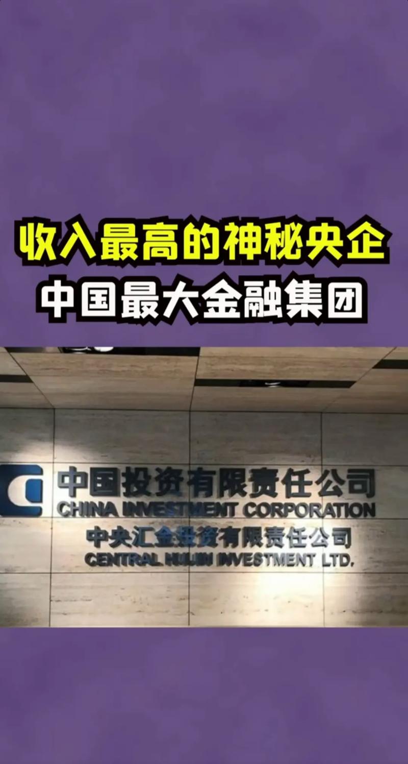 中国投资责任有限公司的定位与职责是什么？-第1张图片-华宇铭诚