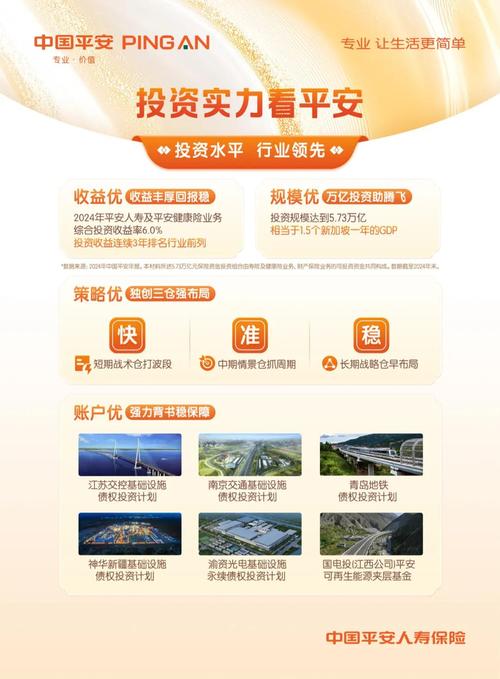 中国平安重大投资项目投向何方？-第1张图片-华宇铭诚