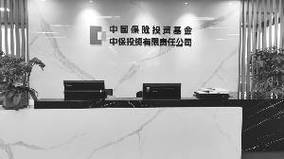 中保投资有限责任公司有何独特优势？-第2张图片-华宇铭诚