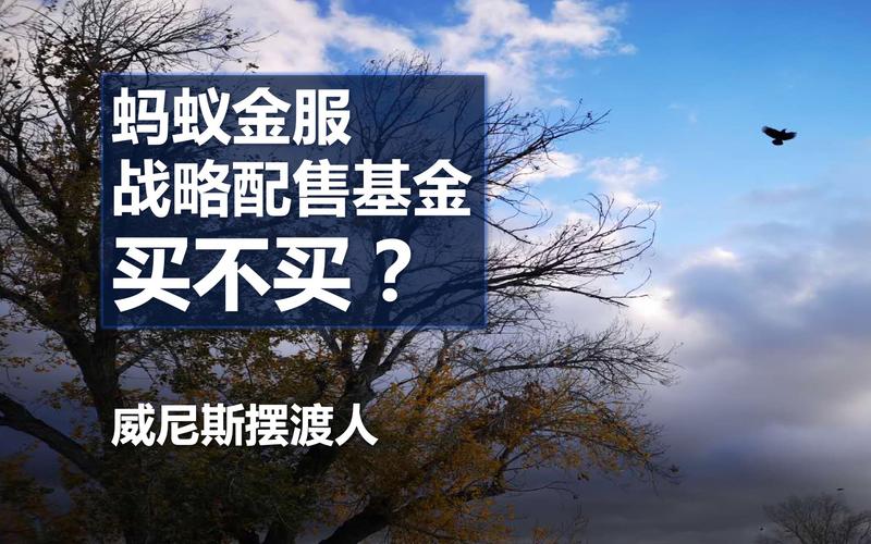 蚂蚁战配基金今日开售，值得买吗？-第2张图片-华宇铭诚