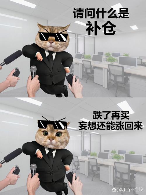 石头理财背后投资方是谁？-第2张图片-华宇铭诚