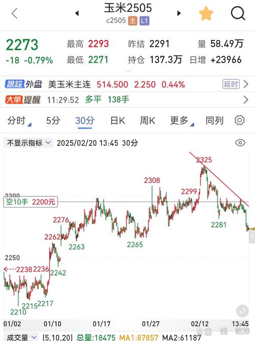 玉米1509期货行情如何？-第1张图片-华宇铭诚