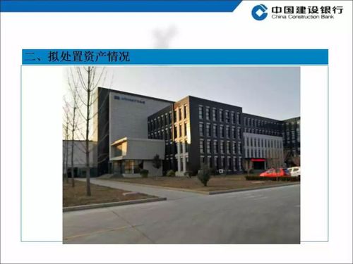 光彩投资担保靠谱吗？-第2张图片-华宇铭诚