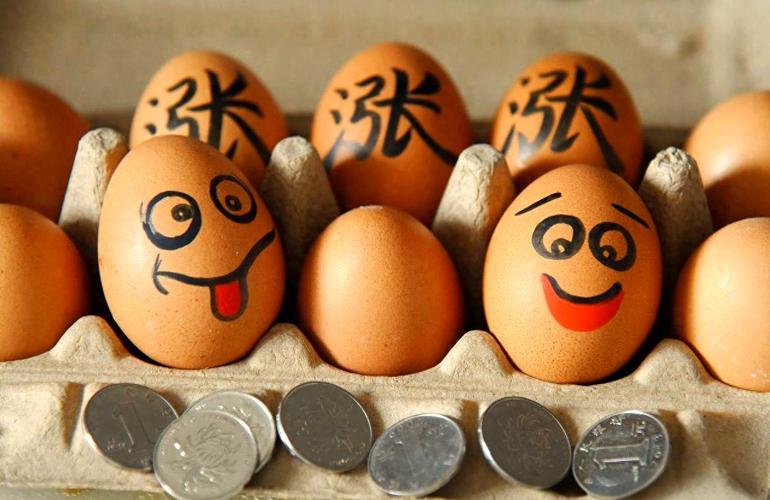 鸡蛋期货1709咨询-第3张图片-华宇铭诚