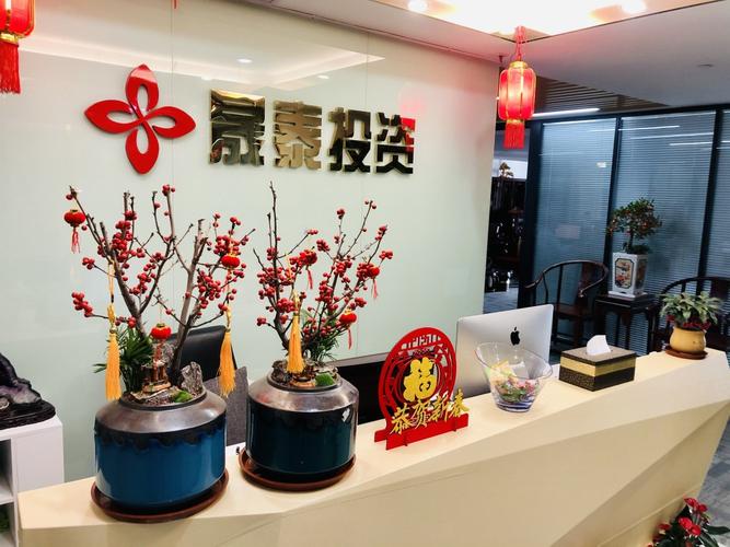 深圳市金融投资公司有何业务优势？-第2张图片-华宇铭诚