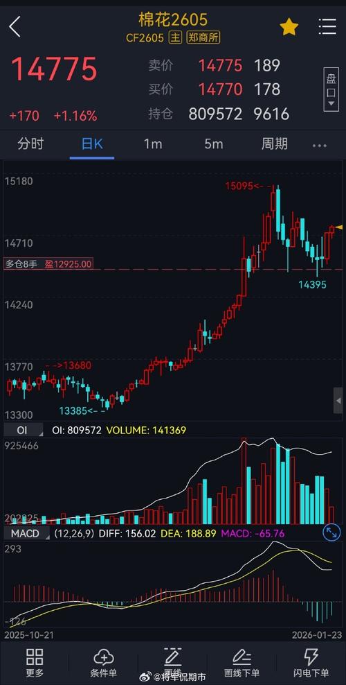 棉花期货的基本面分析-第3张图片-华宇铭诚