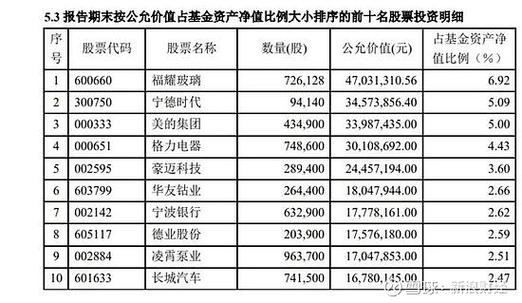天宏永定成长混合基金值得买吗？-第2张图片-华宇铭诚