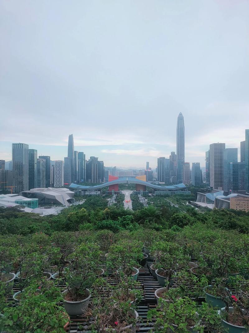 深圳市平安创新投资有何独特优势?-第2张图片-华宇铭诚 深圳市平安创新投资有何独特优势?-第2张图片-华宇铭诚