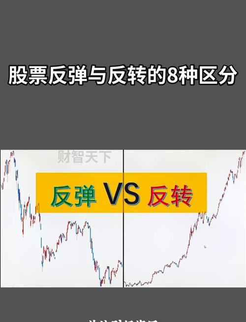期货反手操作具体指什么？-第3张图片-华宇铭诚
