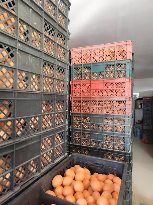 鸡蛋1706期货今日行情如何？-第2张图片-华宇铭诚