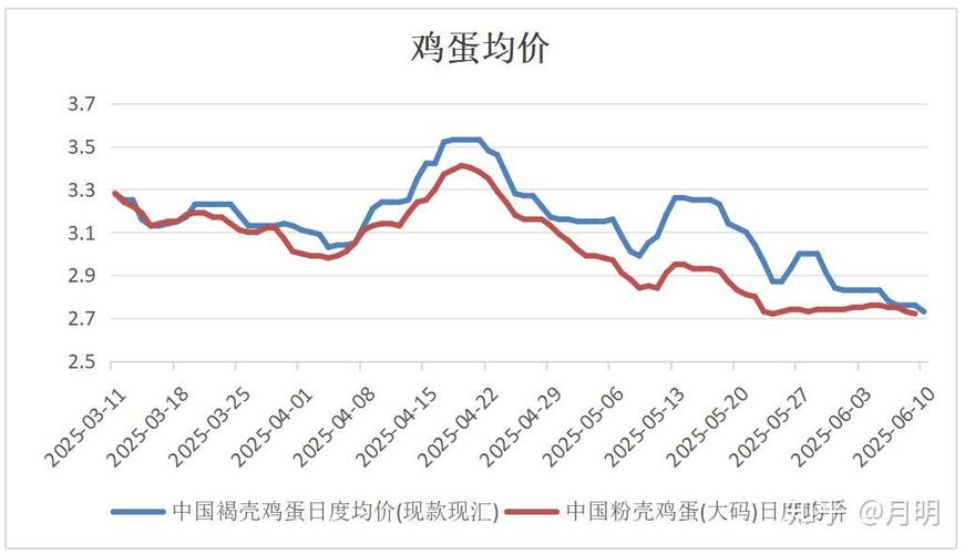 鸡蛋期货价格今日行情如何？-第1张图片-华宇铭诚