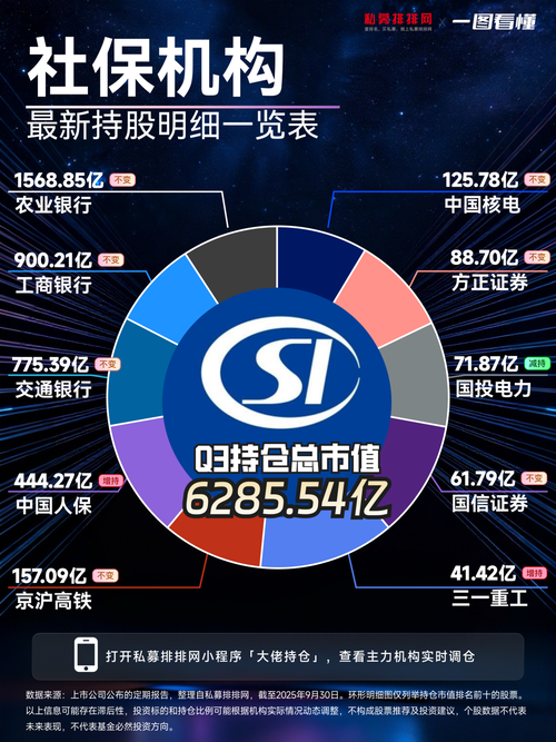 社保基金2025重仓哪些股？-第2张图片-华宇铭诚