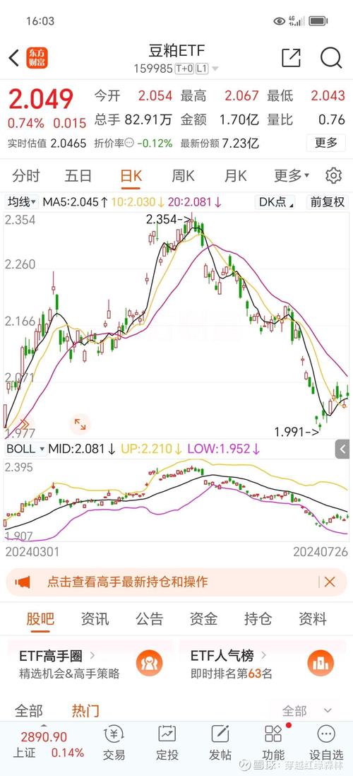 大豆期货基本面分析有何关键看点？-第1张图片-华宇铭诚