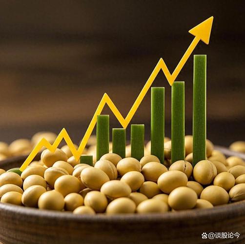 大豆期货基本面分析有何关键看点？-第2张图片-华宇铭诚