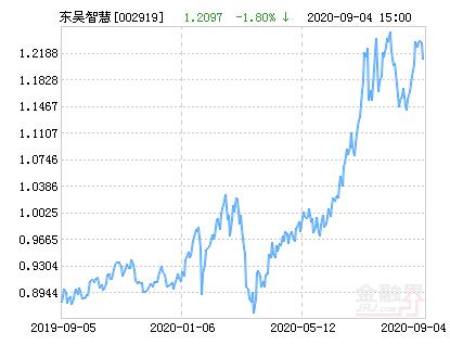 002919基金净值今日是多少？-第2张图片-华宇铭诚