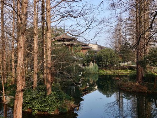 天天基金210009表现如何？-第3张图片-华宇铭诚