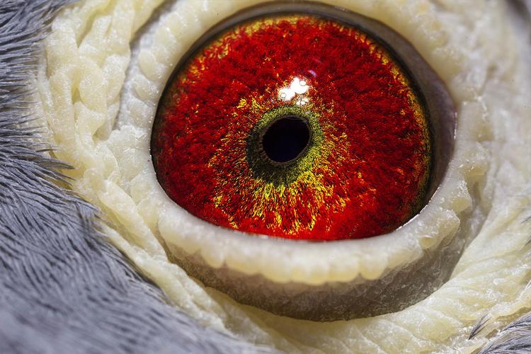 金马基金020005表现如何？-第3张图片-华宇铭诚