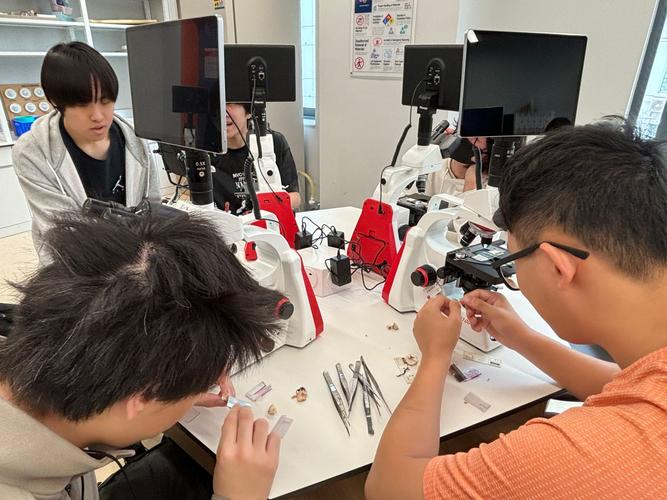 清华期货实战班，实战与理论如何结合？-第3张图片-华宇铭诚