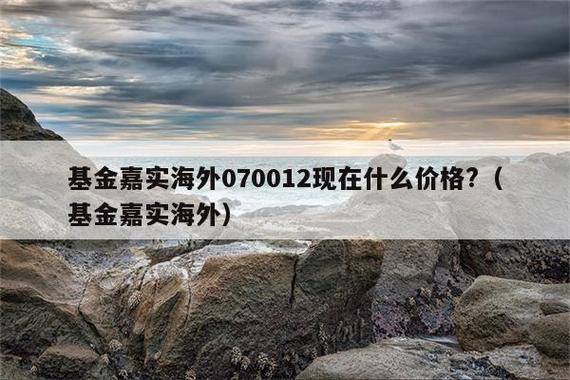 嘉实海外基金分红吗？-第1张图片-华宇铭诚