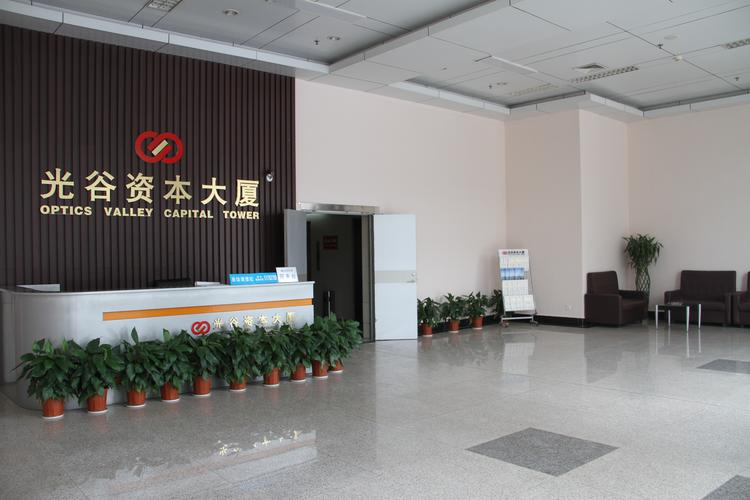 武汉有哪些期货公司？-第1张图片-华宇铭诚