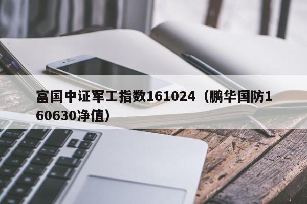 16o630基金净值今日是多少？-第2张图片-华宇铭诚
